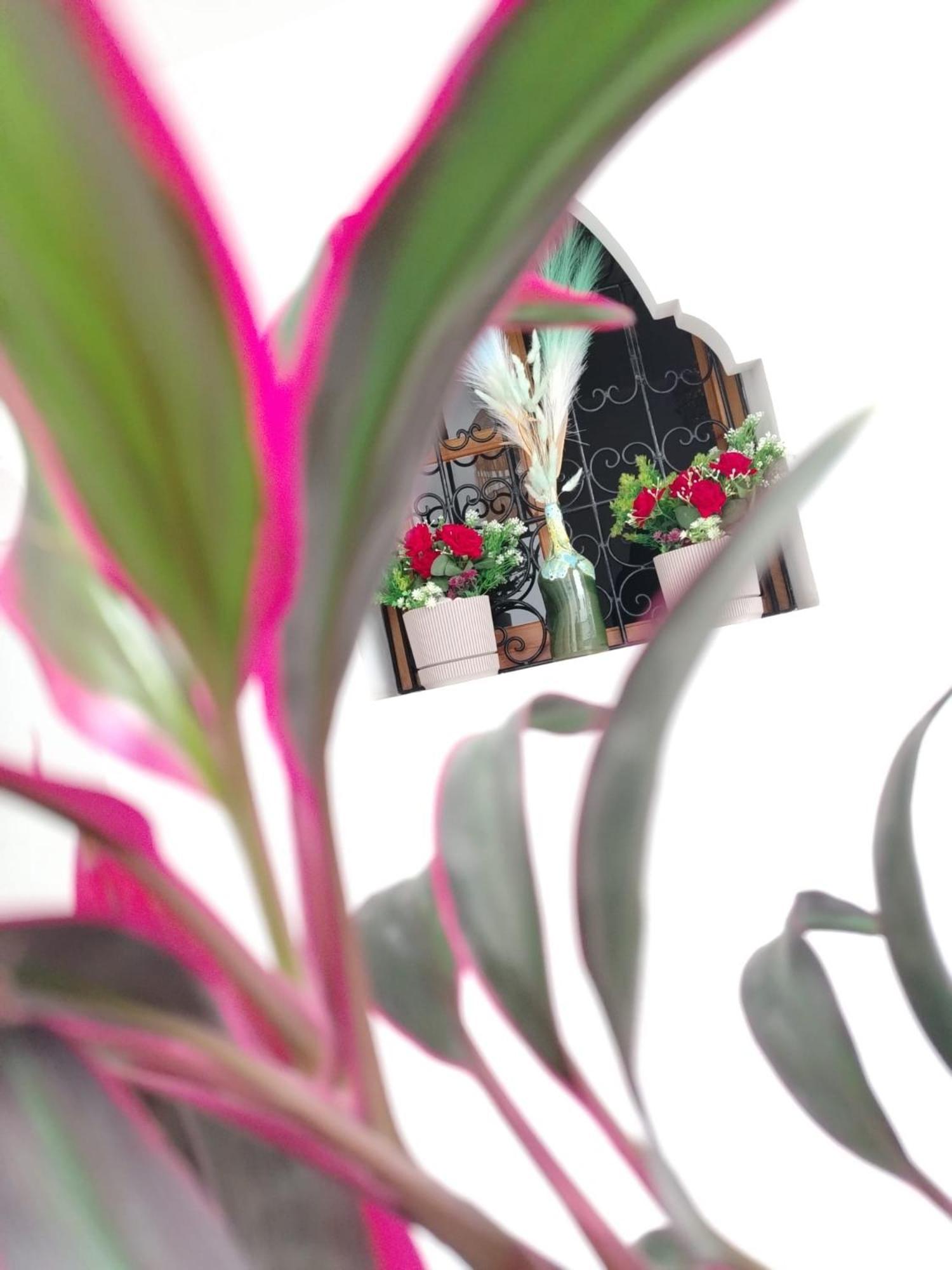 Riad & Spa Sous Le Soleil Chez Jerome & Pamela Suite Essaouira Marrakesh Bagian luar foto
